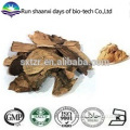 100% Pure Akebia Caulis Extract / Akebia Stem Extract Powder